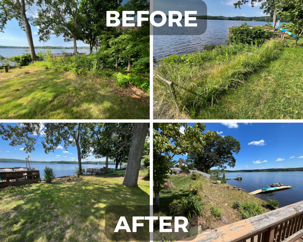 Brush and Vegetation Management Before and After