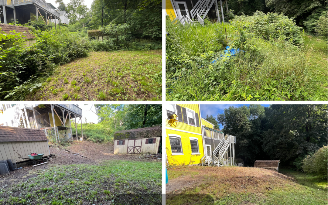 Brush and Vegetation Mangement before and after in Putnam, CT