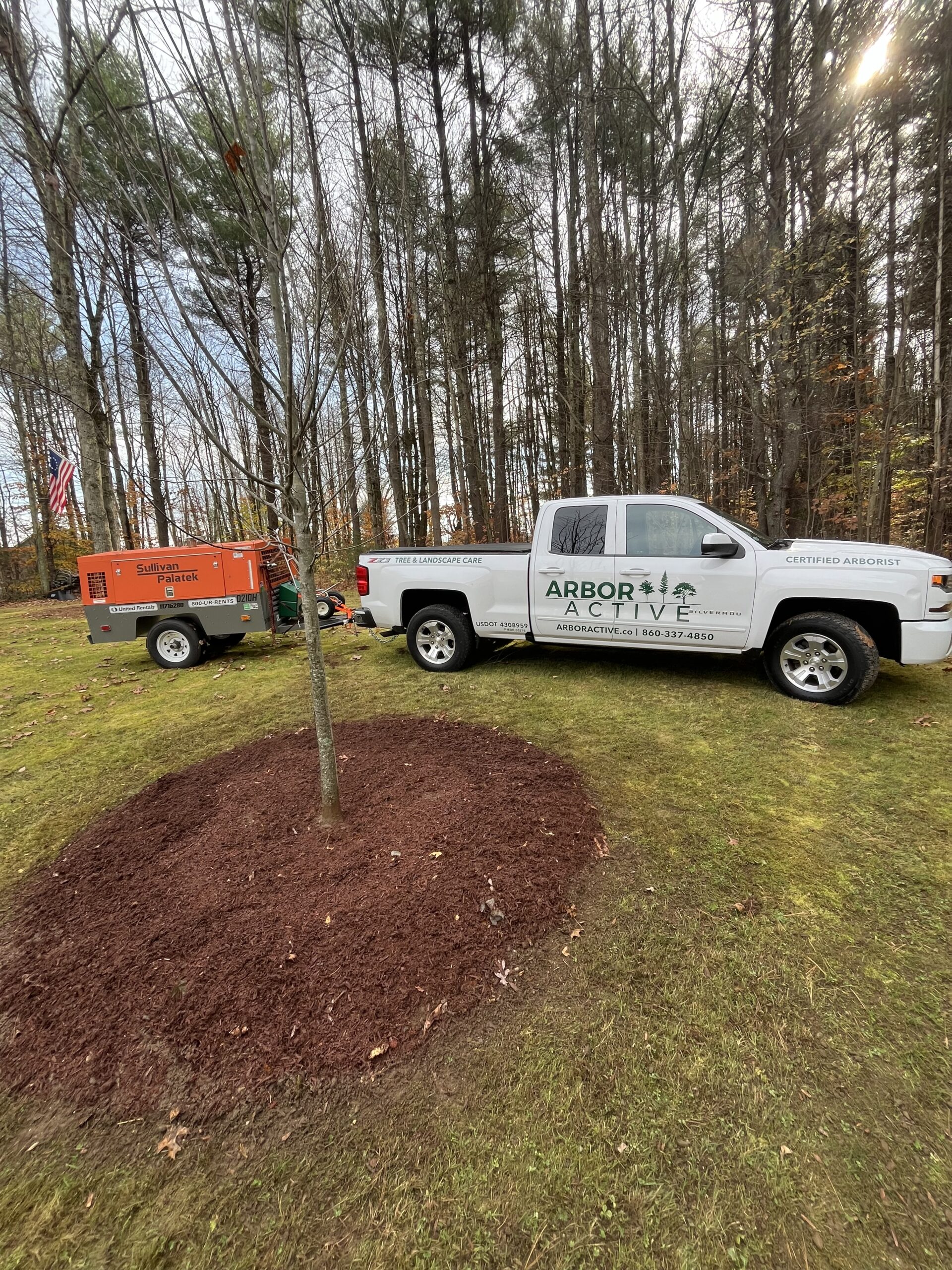 Tree Soil Care and Fertilizer In Leicester, MA