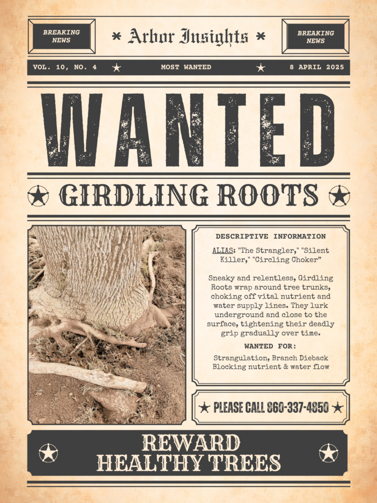 Girdling Roots: A Silent Killer