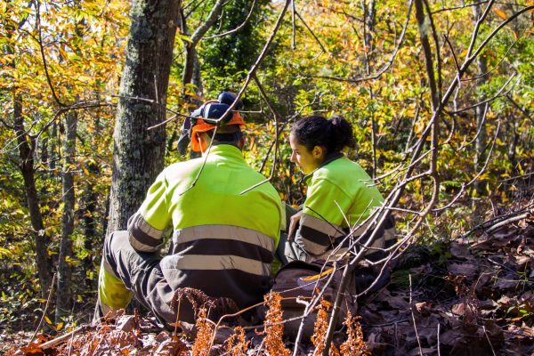 forest workers or lumberjacks taking a break in the forest